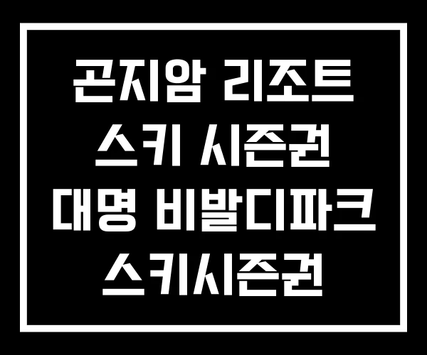 곤지암 리조트 스키 시즌권 대명 비발디파크 스키시즌권