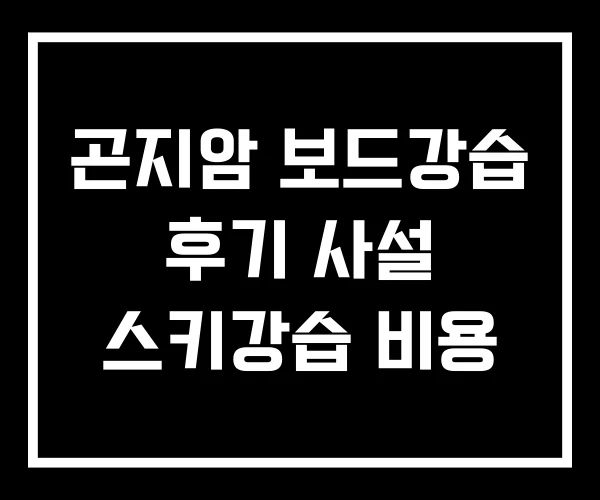 곤지암 보드강습 후기 사설 스키강습 비용