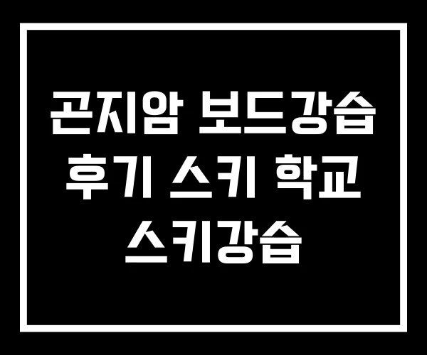곤지암 보드강습 후기 스키 학교 스키강습