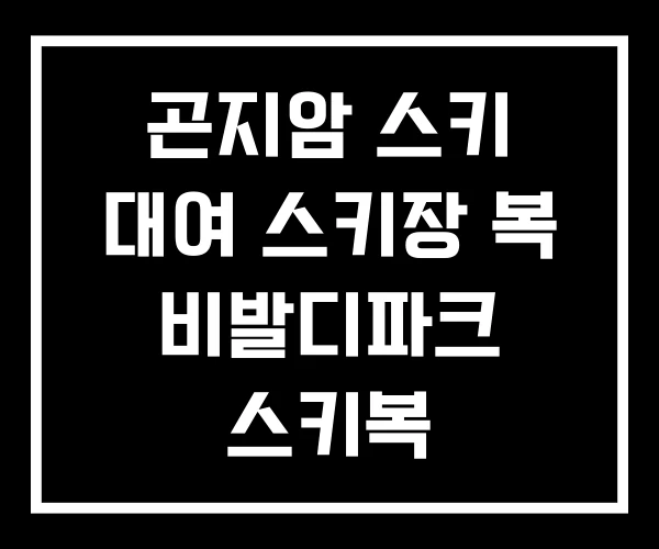 곤지암 스키 대여 스키장 복 비발디파크 스키복