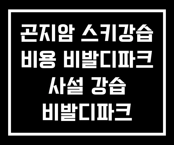 곤지암 스키강습 비용 비발디파크 사설 강습 비발디파크