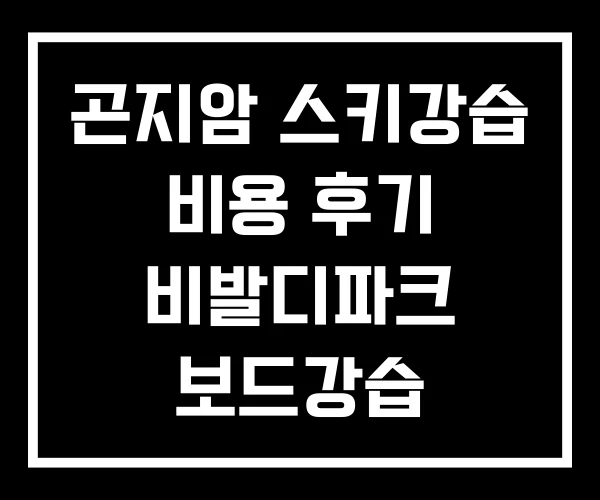 곤지암 스키강습 비용 후기 비발디파크 보드강습