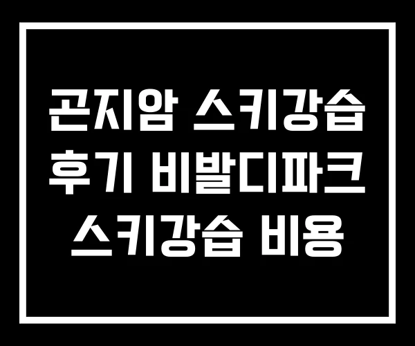 곤지암 스키강습 후기 비발디파크 스키강습 비용