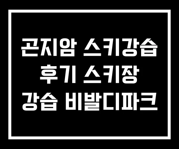 곤지암 스키강습 후기 스키장 강습 비발디파크