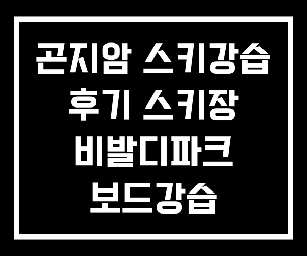 곤지암 스키강습 후기 스키장 비발디파크 보드강습