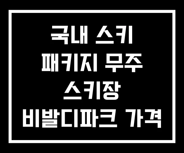 국내 스키 패키지 무주 스키장 비발디파크 가격