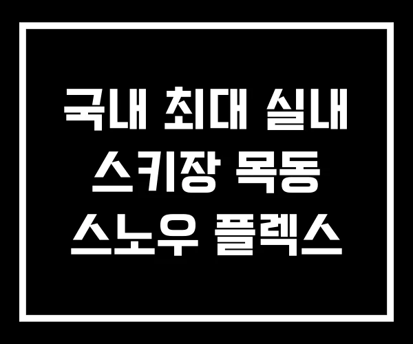 국내 최대 실내 스키장 목동 스노우 플렉스