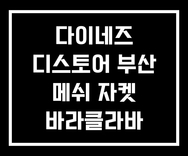 다이네즈 디스토어 부산 메쉬 자켓 바라클라바