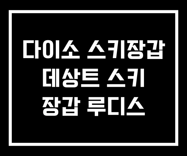 다이소 스키장갑 데상트 스키 장갑 루디스