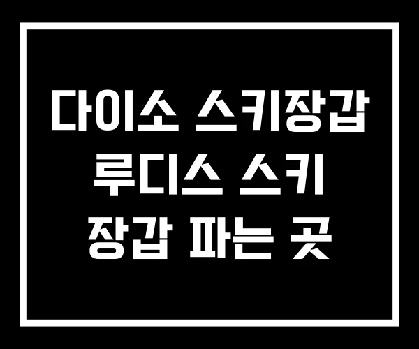 다이소 스키장갑 루디스 스키 장갑 파는 곳 다이소 스키장갑 루디스 스키 장갑 파는 곳