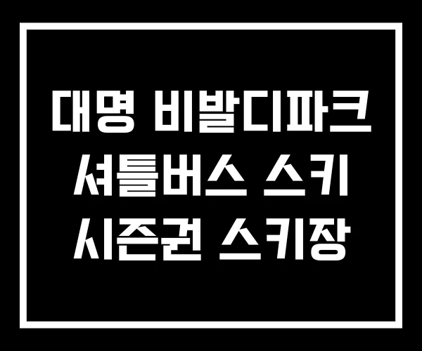 대명 비발디파크 셔틀버스 스키 시즌권 스키장