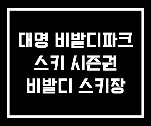 대명 비발디파크 스키 시즌권 비발디 스키장