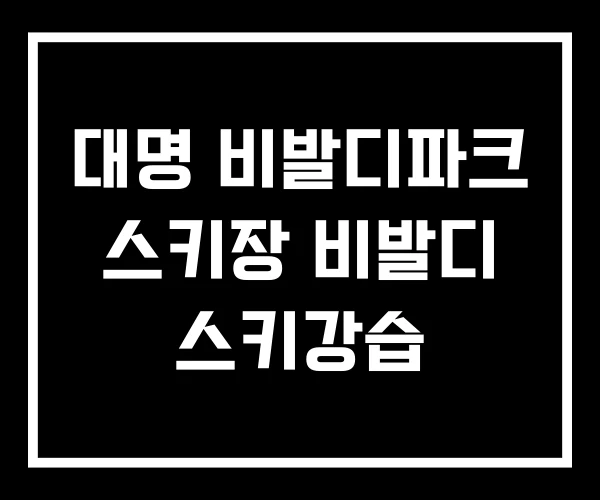 대명 비발디파크 스키장 비발디 스키강습