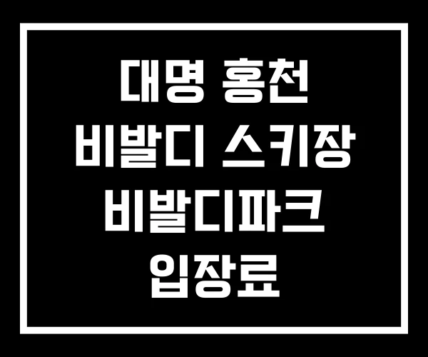 대명 홍천 비발디 스키장 비발디파크 입장료