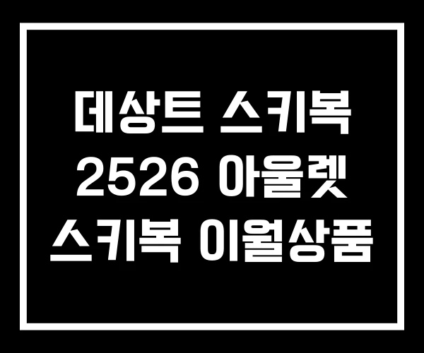 데상트 스키복 2526 아울렛 스키복 이월상품