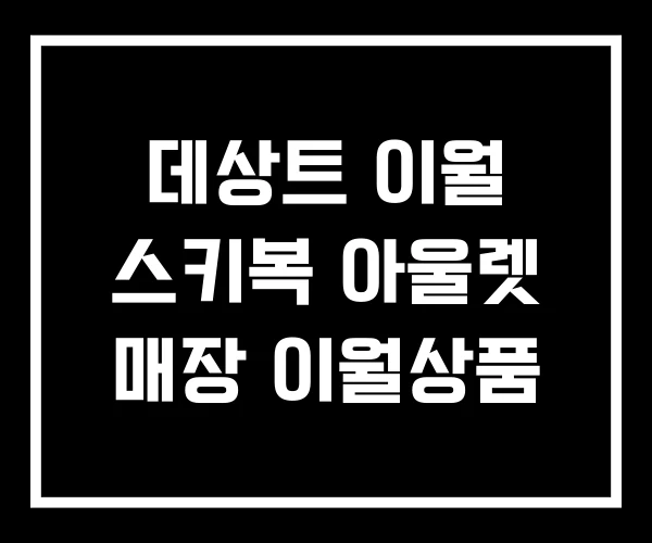 데상트 이월 스키복 아울렛 매장 이월상품