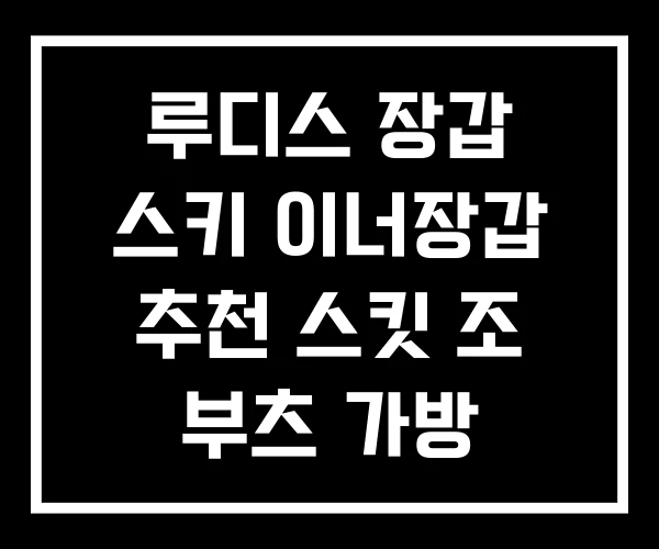 루디스 장갑 스키 이너장갑 추천 스킷 조 부츠 가방