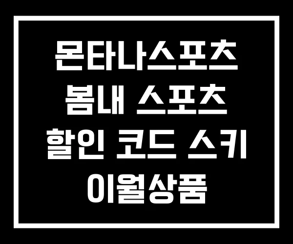 몬타나스포츠 봄내 스포츠 할인 코드 스키 이월상품