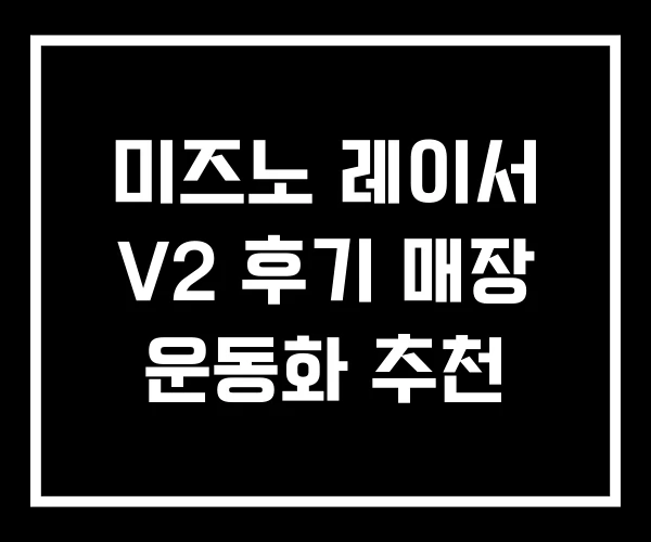 미즈노 레이서 V2 후기 매장 운동화 추천 미즈노 레이서 V2 후기 매장 운동화 추천