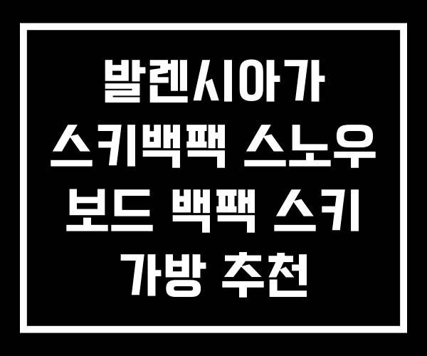 발렌시아가 스키백팩 스노우 보드 백팩 스키 가방 추천
