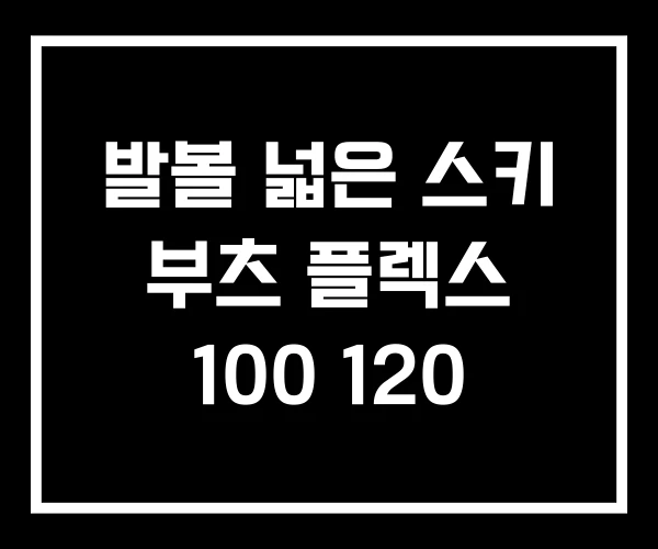 발볼 넓은 스키 부츠 플렉스 100 120 발볼 넓은 스키 부츠 플렉스 100 120