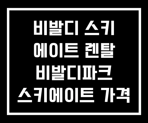 비발디 스키 에이트 렌탈 비발디파크 스키에이트 가격