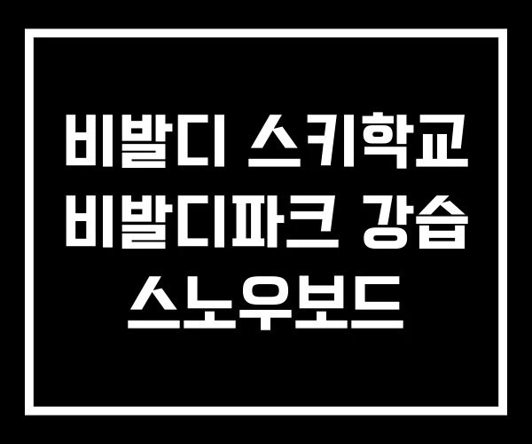 비발디 스키학교 비발디파크 강습 스노우보드 비발디 스키학교 비발디파크 강습 스노우보드