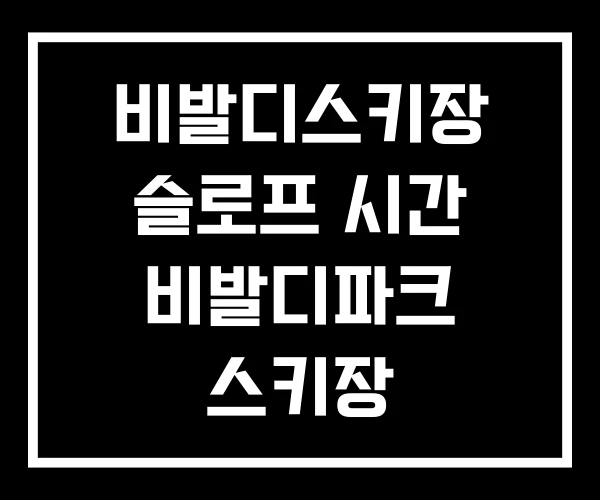 비발디스키장 슬로프 시간 비발디파크 스키장