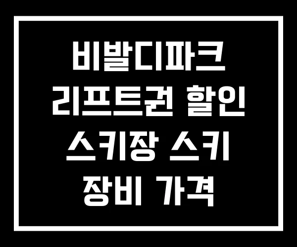 비발디파크 리프트권 할인 스키장 스키 장비 가격