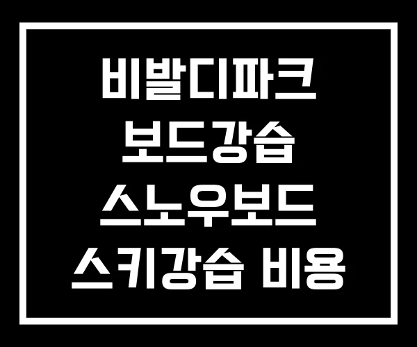 비발디파크 보드강습 스노우보드 스키강습 비용