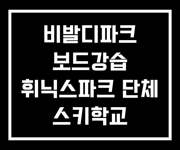 비발디파크 보드강습 휘닉스파크 단체 스키학교 비발디파크 보드강습 휘닉스파크 단체 스키학교