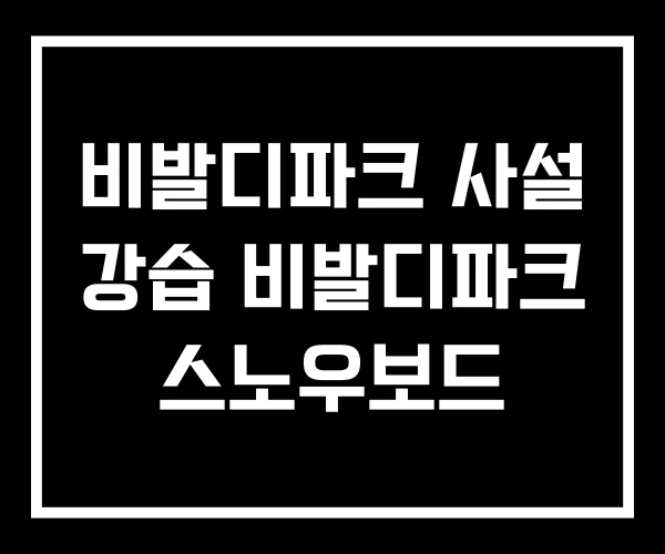 비발디파크 사설 강습 비발디파크 스노우보드