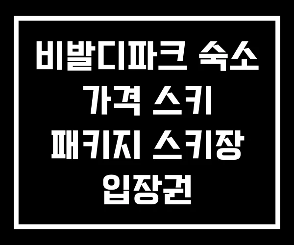 비발디파크 숙소 가격 스키 패키지 스키장 입장권