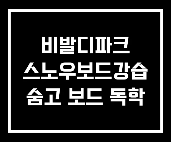 비발디파크 스노우보드강습 숨고 보드 독학