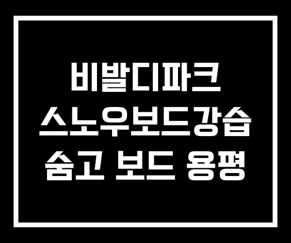 비발디파크 스노우보드강습 숨고 보드 용평 비발디파크 스노우보드강습 숨고 보드 용평