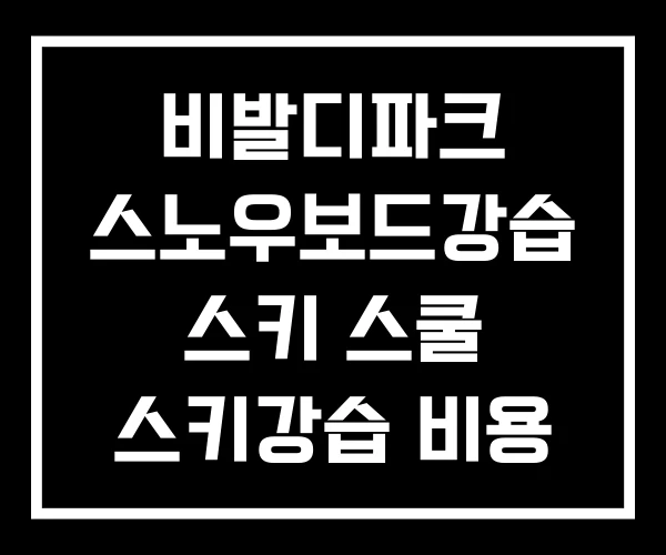 비발디파크 스노우보드강습 스키 스쿨 스키강습 비용