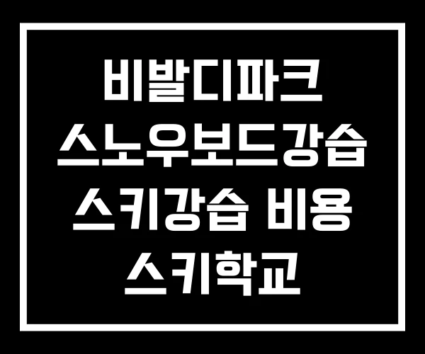 비발디파크 스노우보드강습 스키강습 비용 스키학교