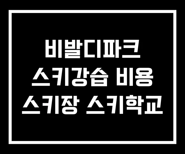 비발디파크 스키강습 비용 스키장 스키학교 비발디파크 스키강습 비용 스키장 스키학교
