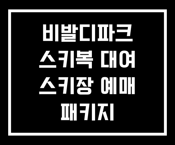 비발디파크 스키복 대여 스키장 예매 패키지 비발디파크 스키복 대여 스키장 예매 패키지