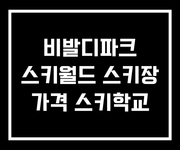 비발디파크 스키월드 스키장 가격 스키학교 비발디파크 스키월드 스키장 가격 스키학교