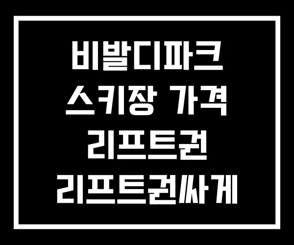 비발디파크 스키장 가격 리프트권 리프트권싸게