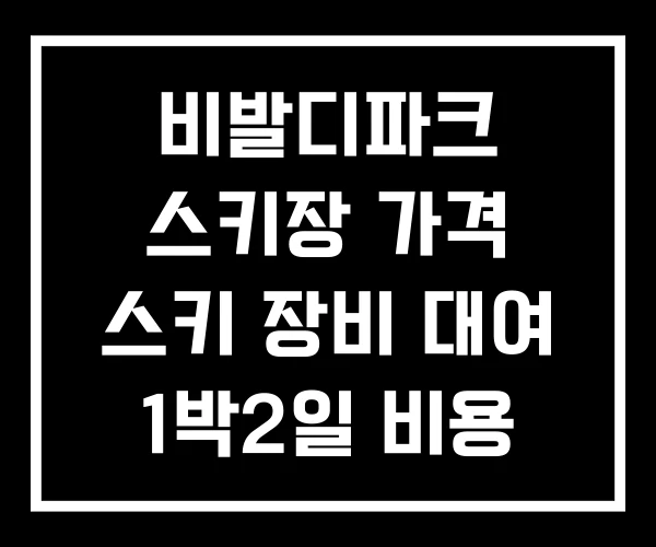 비발디파크 스키장 가격 스키 장비 대여 1박2일 비용
