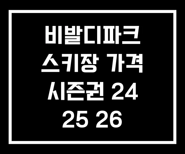 비발디파크 스키장 가격 시즌권 24 25 26 비발디파크 스키장 가격 시즌권 24 25 26