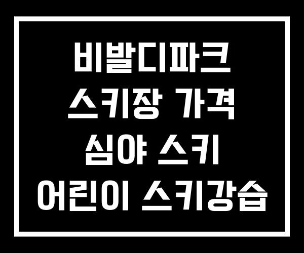 비발디파크 스키장 가격 심야 스키 어린이 스키강습