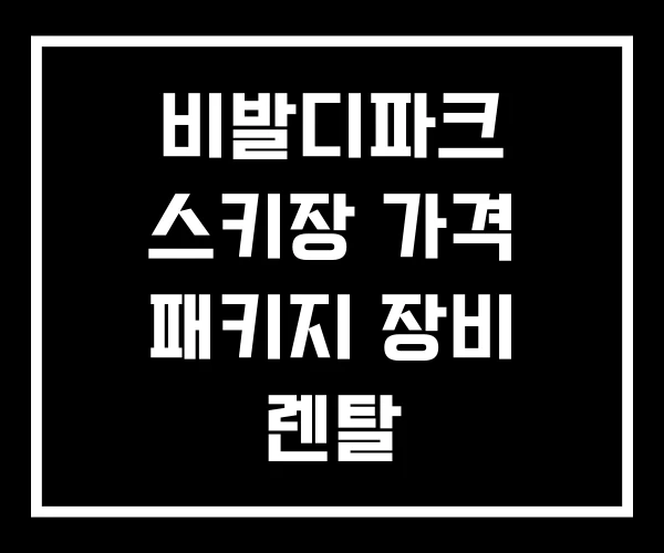 비발디파크 스키장 가격 패키지 장비 렌탈