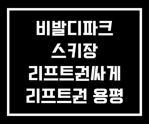 비발디파크 스키장 리프트권싸게 리프트권 용평 비발디파크 스키장 리프트권싸게 리프트권 용평