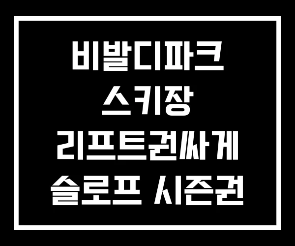 비발디파크 스키장 리프트권싸게 슬로프 시즌권 비발디파크 스키장 리프트권싸게 슬로프 시즌권