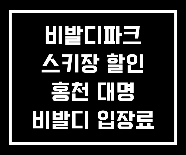 비발디파크 스키장 할인 홍천 대명 비발디 입장료 비발디파크 스키장 할인 홍천 대명 비발디 입장료