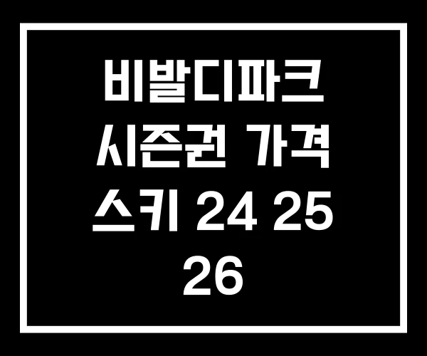 비발디파크 시즌권 가격 스키 24 25 26