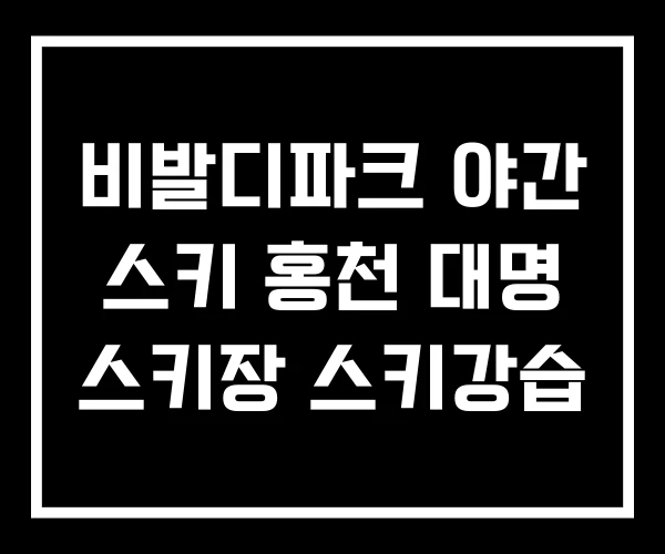 비발디파크 야간 스키 홍천 대명 스키장 스키강습